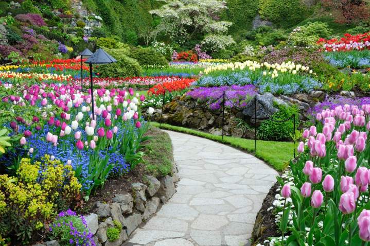 Un jardin paysager magnifiquement conçu avec des chemins en pierre, des parterres de fleurs colorés et des arbustes bien taillés, créant une ambiance relaxante.